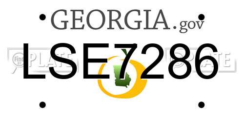 LSE7286 Georgia License Plate