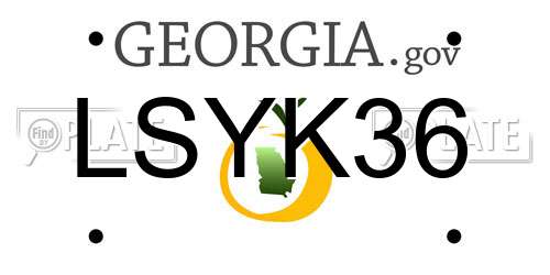LSYK36 Georgia License Plate