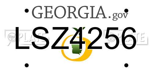 LSZ4256 Georgia License Plate