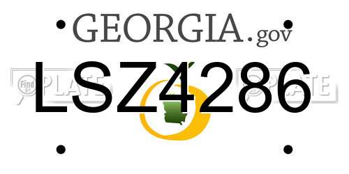 LSZ4286 Georgia License Plate