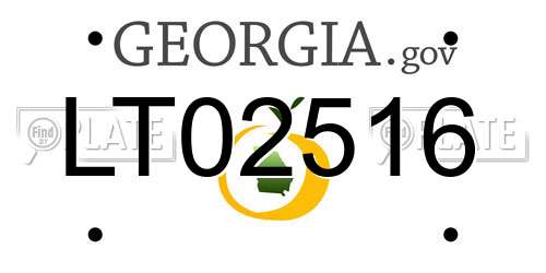 LT02516 Georgia License Plate