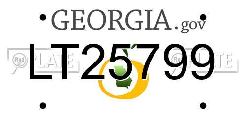 LT25799 Georgia License Plate