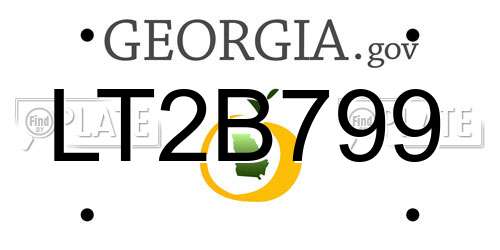LT2B799 Georgia License Plate