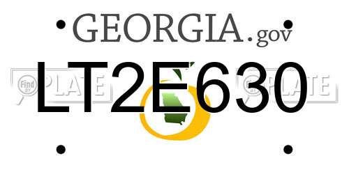 LT2E630 Georgia License Plate