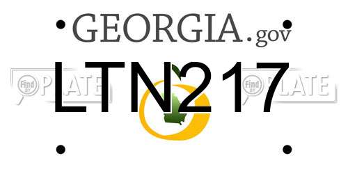 LTN217 Georgia License Plate
