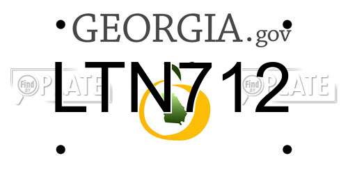 LTN712 Georgia License Plate