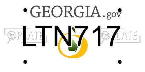 LTN717 Georgia License Plate