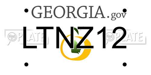 LTNZ12 Georgia License Plate