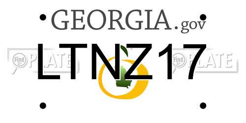 LTNZ17 Georgia License Plate