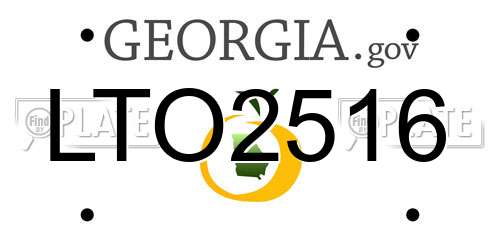 LTO2516 Georgia License Plate