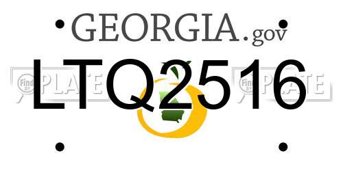 LTQ2516 Georgia License Plate