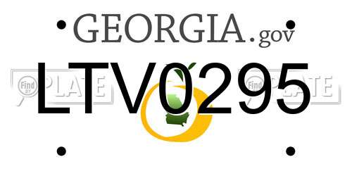 LTV0295 Georgia License Plate