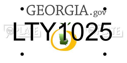 LTY1025 Georgia License Plate