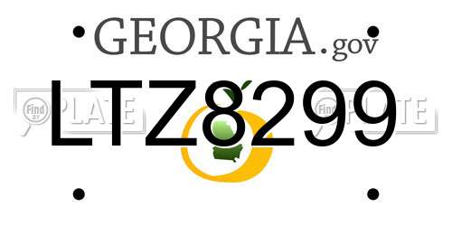LTZ8299 Georgia License Plate