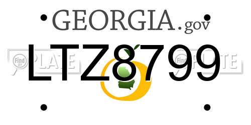 LTZ8799 Georgia License Plate