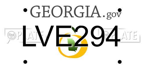 LVE294 Georgia License Plate