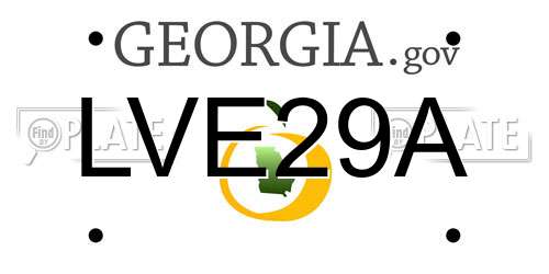 LVE29A Georgia License Plate