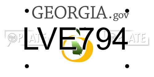 LVE794 Georgia License Plate