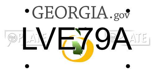 LVE79A Georgia License Plate
