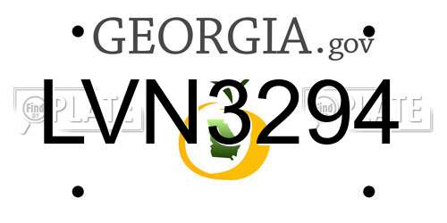 LVN3294 Georgia License Plate