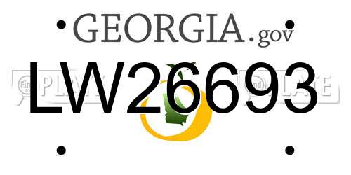 LW26693 Georgia License Plate