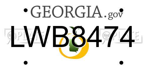 LWB8474 Georgia License Plate