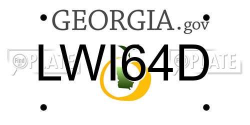 LWI64D Georgia License Plate