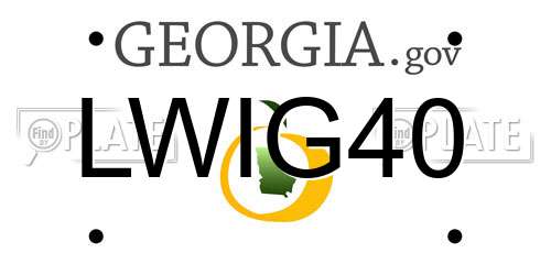 LWIG40 Georgia License Plate