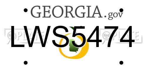LWS5474 Georgia License Plate