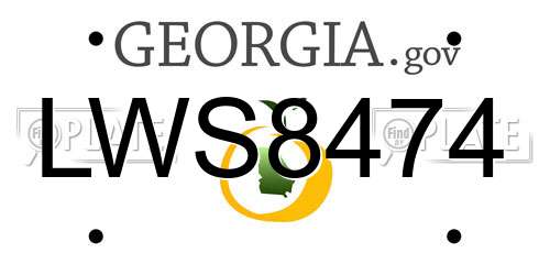 LWS8474 Georgia License Plate