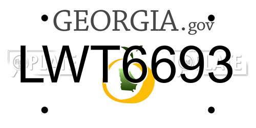 LWT6693 Georgia License Plate