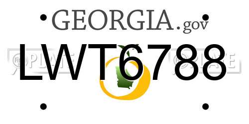 LWT6788 Georgia License Plate