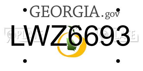 LWZ6693 Georgia License Plate