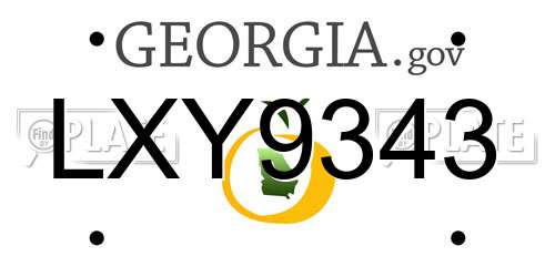 LXY9343 Georgia License Plate