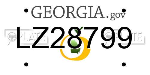LZ28799 Georgia License Plate