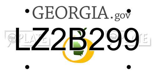 LZ2B299 Georgia License Plate