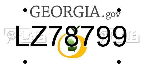 LZ78799 Georgia License Plate