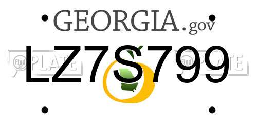 LZ7S799 Georgia License Plate