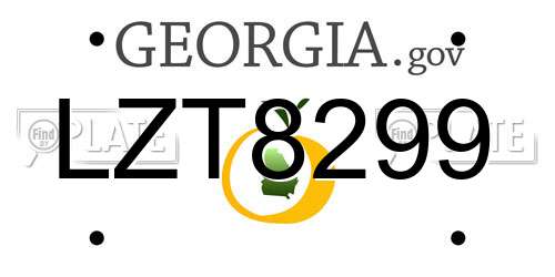 LZT8299 Georgia License Plate