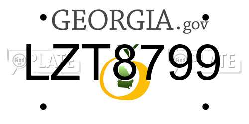 LZT8799 Georgia License Plate