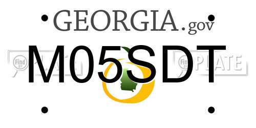 M05SDT Georgia License Plate