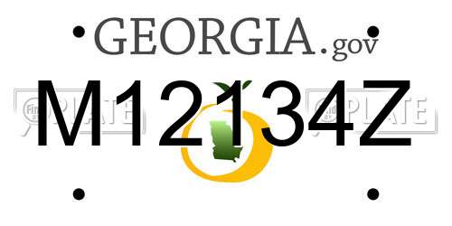 M12134Z Georgia License Plate