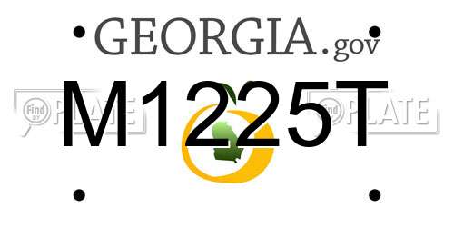 M1225T Georgia License Plate