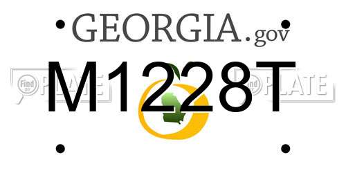 M1228T Georgia License Plate