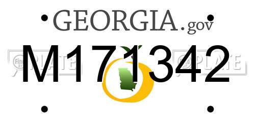 M171342 Georgia License Plate