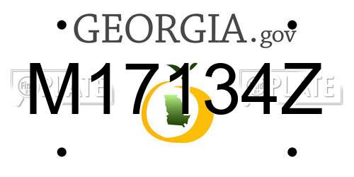 M17134Z Georgia License Plate
