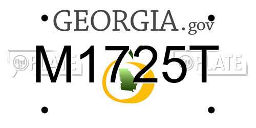 M1725T Georgia License Plate