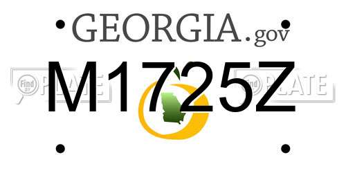 M1725Z Georgia License Plate