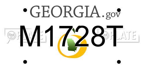 M1728T Georgia License Plate