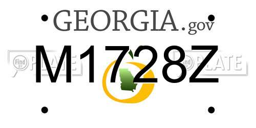 M1728Z Georgia License Plate